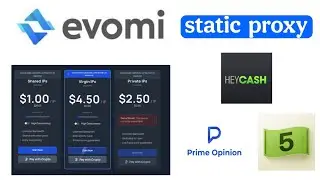 five Survey যে আইপি ব্যবহার করবেন evomi proxy review heycash Prime opinion
