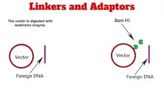 Linkers and Adaptors