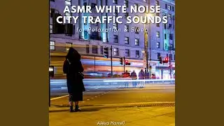 Heavy Traffic & City Ambience with Cars, Bikes, Trucks & Birds
