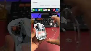 🐢 Unboxing the coolest wireless mouse in town! The Green Lion Turtle Mouse.