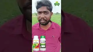 Supreme & Hi - Result ||Best combo|| Best Results || Ozo Agri Care || wefor farmer