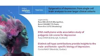 Epigenopsy webinar - Epigenetics of depression from single cell brain analyses to ever larger clinic