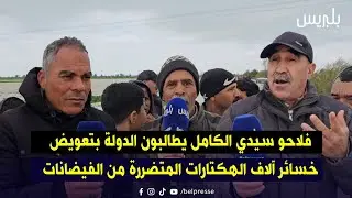 فلاحو سيدي الكامل يطالبون الدولة بتعويض خسائر آلاف الهكتارات المتضررة من الفيضانات