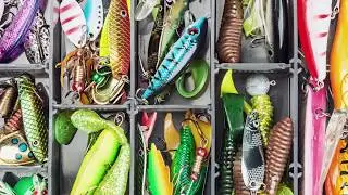 First Fish LLC, one of the best fish stories