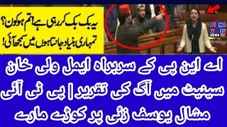 ANP Aimal Wali Khan Fiery Speech in Senate Lashes out At PTI Mashal Yousafzai Heated Senate Clash