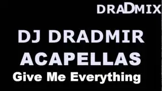Pitbull feat. Ne-Yo & Nayer - Give Me Everything acapella studio