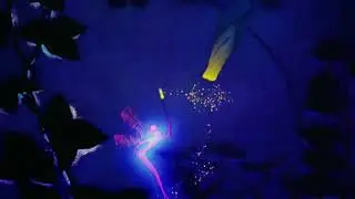 Princess Nokia- Earth is my playground 432hz