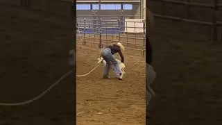 14.1 even with mistakes 😍 #2024 #horse #cutter #dallisbradford #7forallmankind #fyp #goattying
