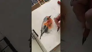 Bird in watercolor and ink pen sketching