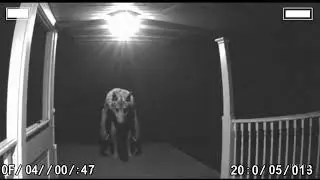 Giant Werewolf Caught on Door Cam at 3AM &ndash; Real or Hoax?