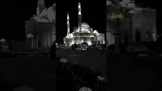 Heart touching Surah Ensan | Ayat no 1-3 |Beautiful Recitation| #alquran | #trustonallah