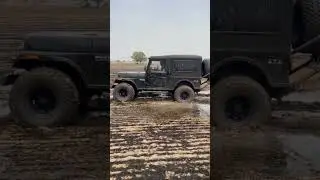 #thar