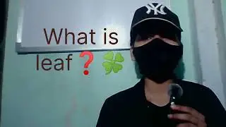 Types of Leaf in Plants 🌿 | Simple vs Compound Leaf | Class 11 Biology||#TypesOfLeaves#NCERTBiology