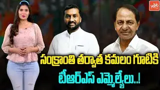 TRS Sittings MLA's Ready To Join In BJP Party | Raghunandan Rao | CM KCR | KTR | Telangana |  YOYOTV
