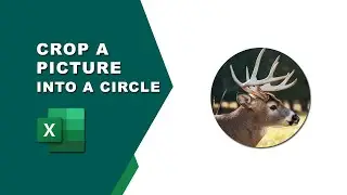 How to crop a picture into a circle in Excel
