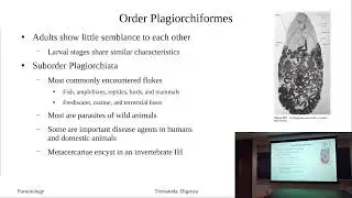Continued Digenea Introduction and Fasciola hepatica