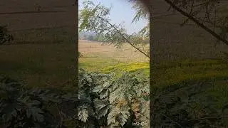 Kya Apne Yeh Dekha🤔 #shorts #vlogs #viral
