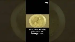 Secrets in the Fields | The Bizarre Science of Crop Circles | Explained
