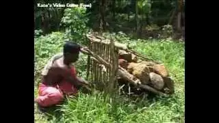 Science and Technology of Tribals in Kerala, India. (DAAL)
