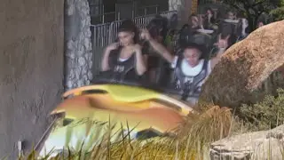 Busch Gardens Tampa Cheetah Hunt 2013 ride Video POV