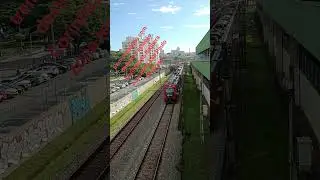 trem de S&atilde;o Paulo SP #trem#de S&atilde;o Paulo SP #brasil