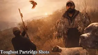Awesome Patridge Hunting / Toughest Shots / Pointers Did Great Job / Malik sarfraz khokhar
