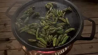 Пузыристый перец шишито