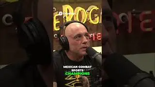 Mexican Fighting Spirit 🔥 World Champions Revealed! 🏆 #clips #funny #joerogan #podcast #shanegillis