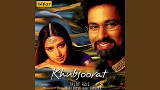 Koi Nahin Hai