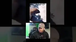 The mouse has gone crazy after this😂😂 #respect #sarcasm #meme #mouse #dancing #funnyshorts