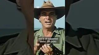 Something you didn&rsquo;t know about Australia&rsquo;s sea slugs | Bush Tucker Man | ABC Australia