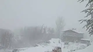 Bitlis Ahlat'ta yoğun kar yağışı bastırdı