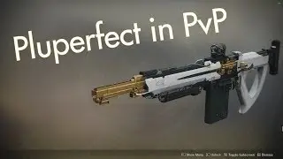 Pluperfect is not the perfect auto rifle for me | Destiny 2 Shadowkeep PvP
