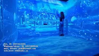 Immersive Art Interactive wall& floor projection-Constellation style