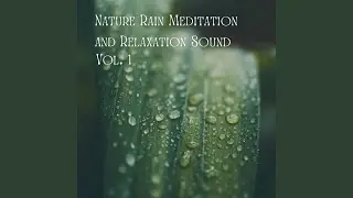 Rain's Meditative Cadence