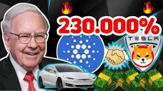 INI PENTING !! HOSKINSON MENGUMUMKAN CARDANO AKAN MENUJU $12 - SHIBOSIS LUDES !!
