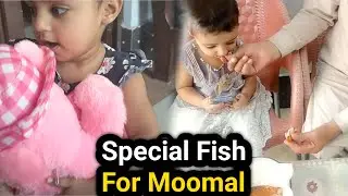 Special Fish For Moomal | Moomal Ka Bear | #fun