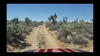 Mojave Desert Trail Riding with Beautiful Joshua Trees off roading, Overlanding,