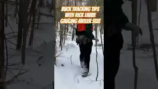 Buck Tracking Tips with Rick Labbe: Gauging Antler Size. #bucks #tracking #hunting