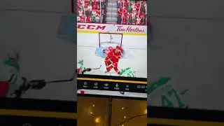 BEST NHL GOALIE SAVE&mdash; NEARLY GOAL!