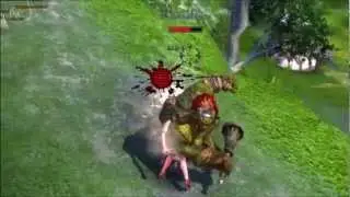 Tera online game Mystiker Hochelfe Kurzclip