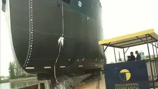 launch Vertom Patty