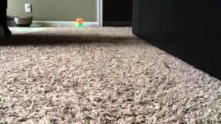 Bend a path hamster wheel