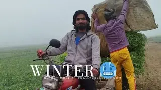 Winter 🥶 in village | Mazzy he Mazzy 😆 #viralvideo 