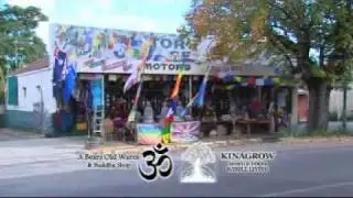 We need Help to choose our Television commercial Buddha Shop and Kinagrow Whole Foods Whole Living