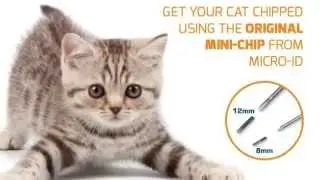 Micro-ID Microchip