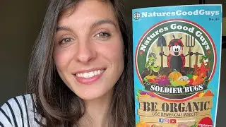 Mail-Order Ladybugs : fighting garden pests organically!