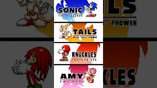 How to get the secret 5th character in Sonic Advance