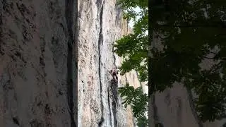 Nyamuk wall - Osmosis 