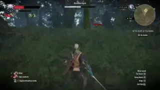 RichyRich80's the witcher 3 wild hunt PS4 gameplay